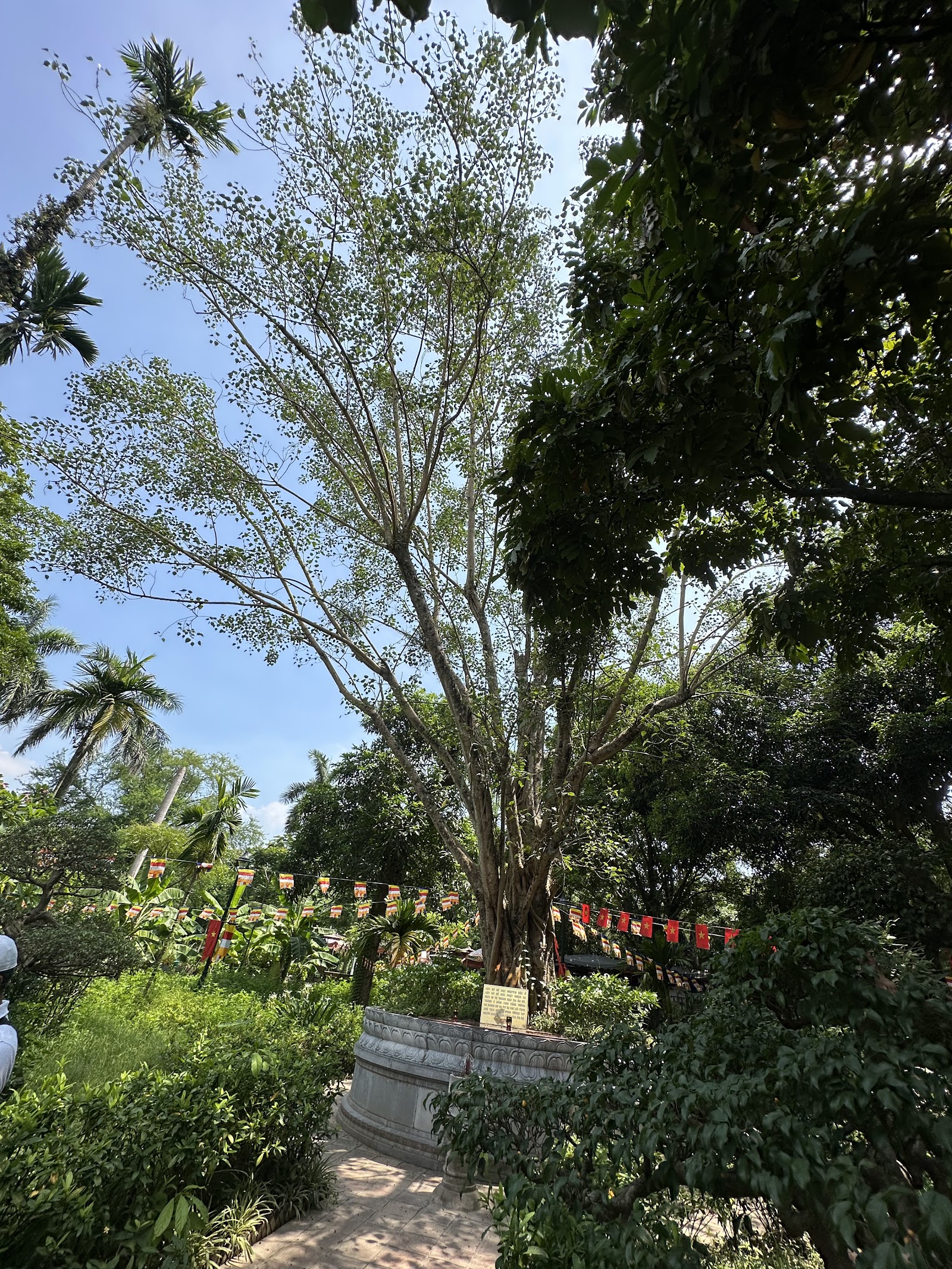 Chùa Một Cột 照片 8