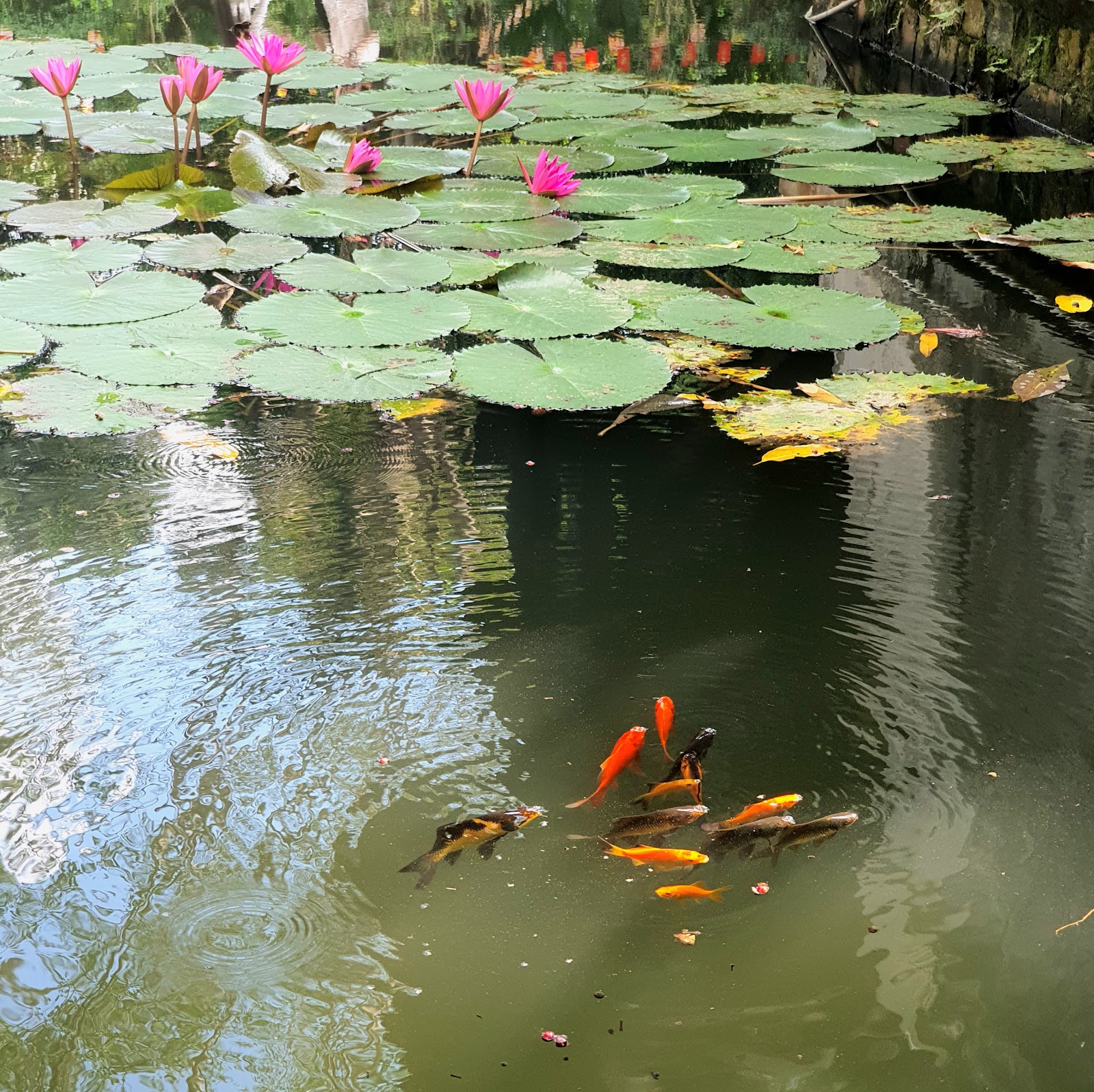 Chùa Một Cột 照片 9