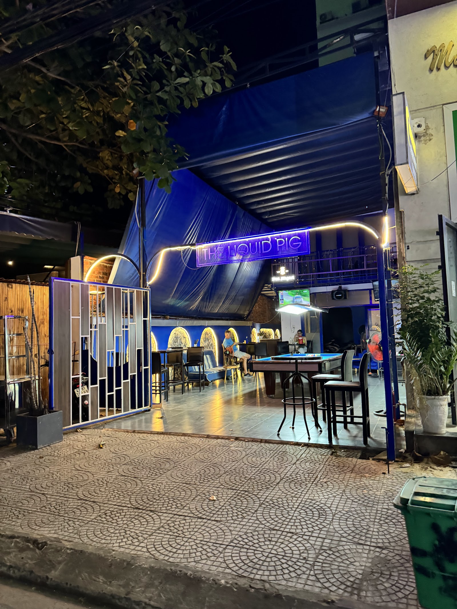 The Liquid Pig 写真 4