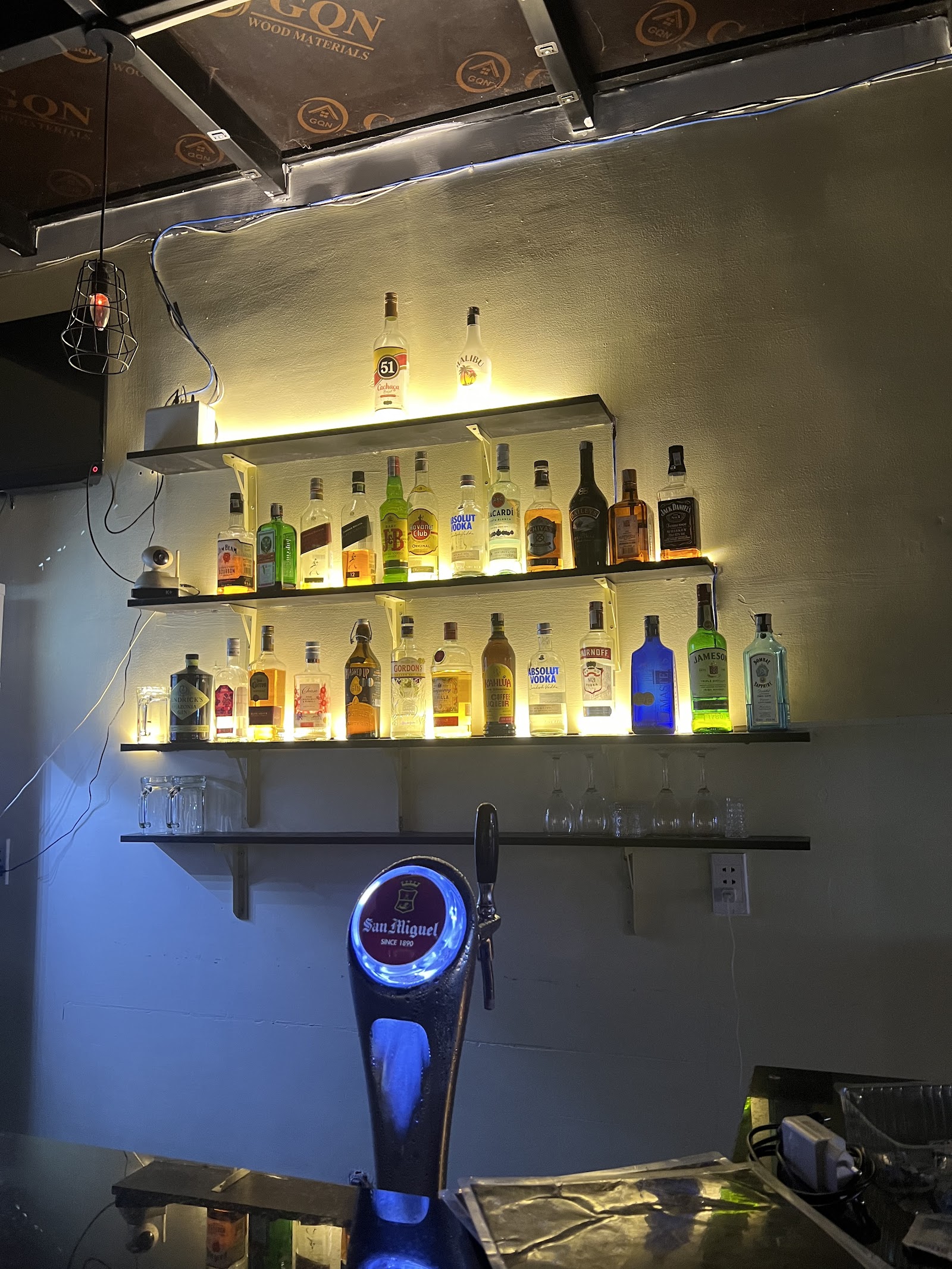 The Liquid Pig 写真 8