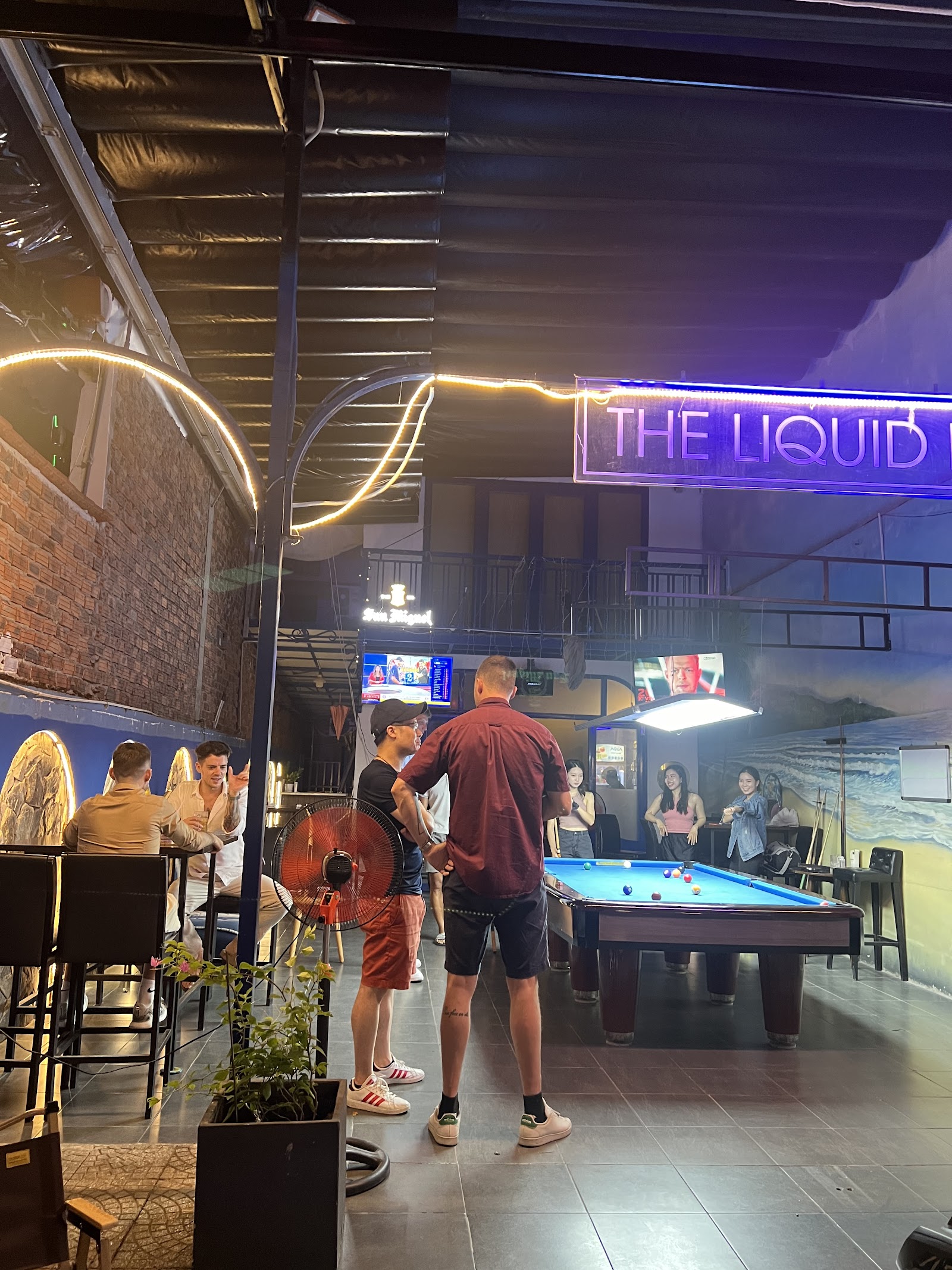 The Liquid Pig 写真 9