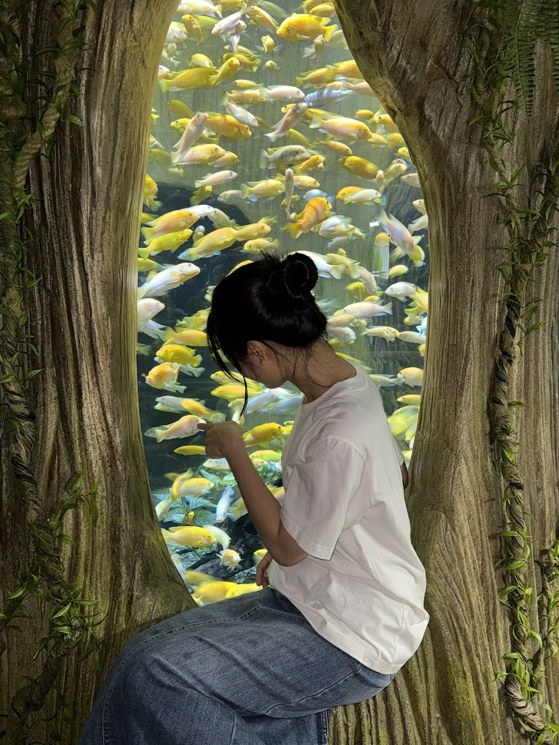 Lotte World Aquarium Hà Nội 사진 3