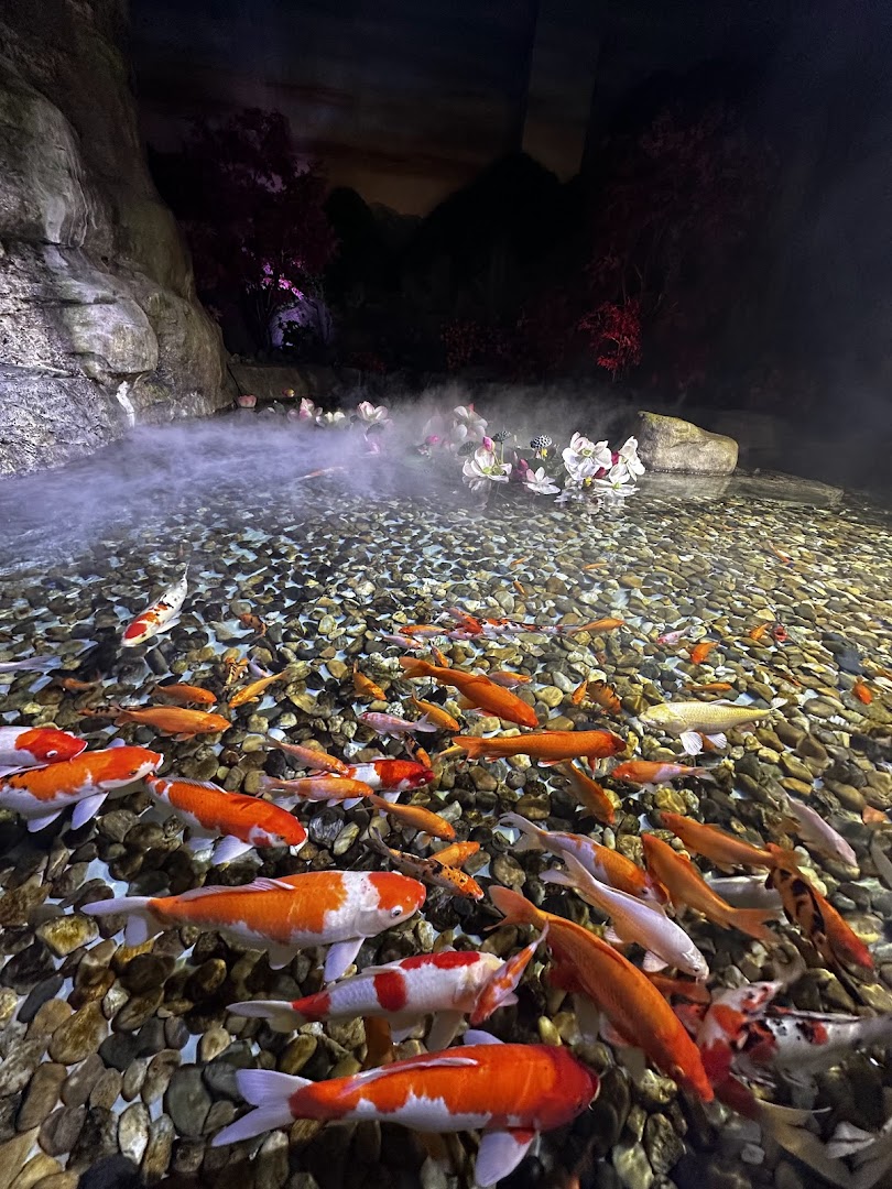 Lotte World Aquarium Hà Nội 사진 6