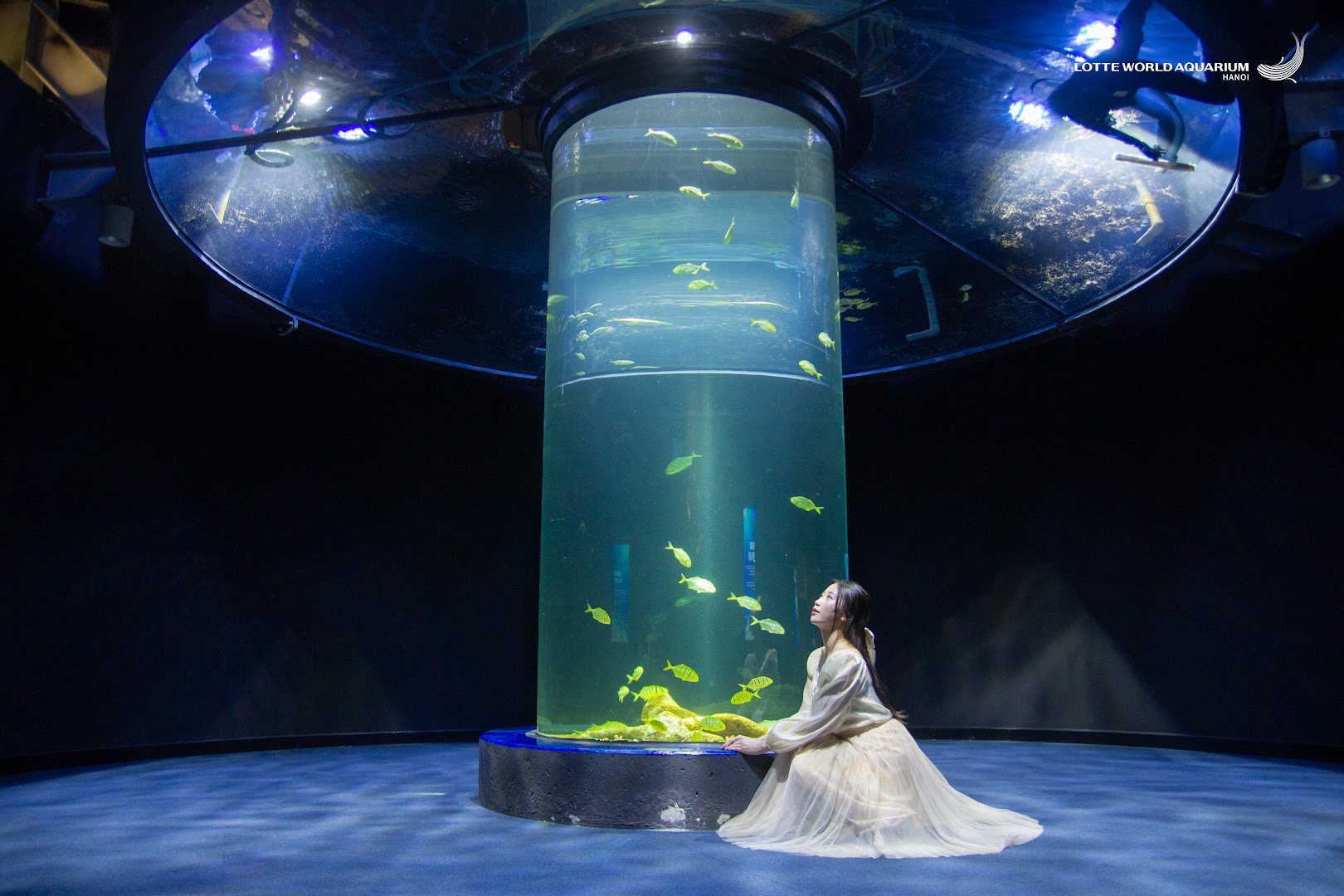 Lotte World Aquarium Hà Nội 사진 7