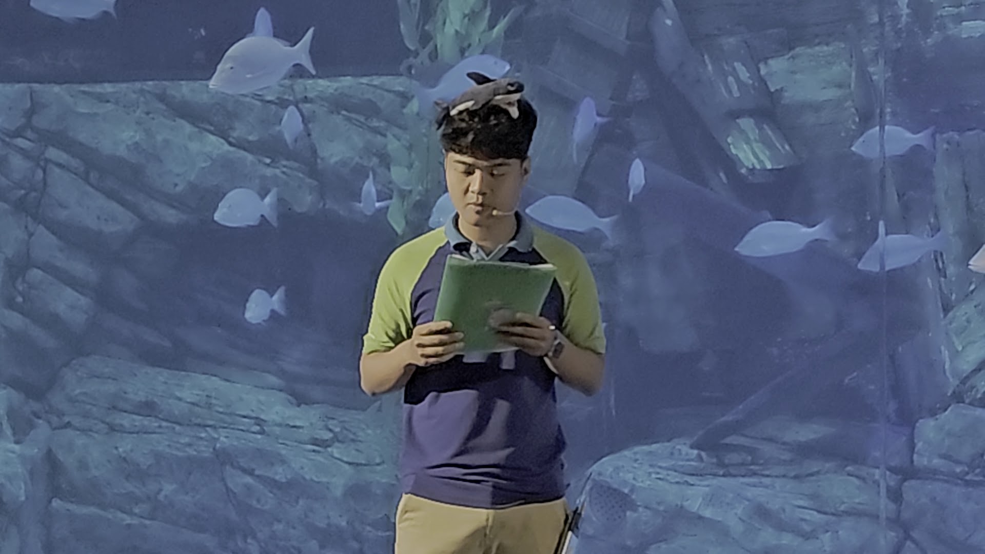 Lotte World Aquarium Hà Nội 사진 8