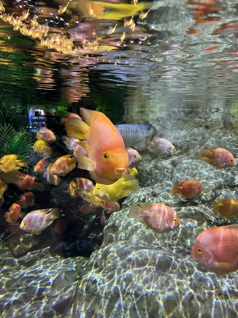Lotte World Aquarium Hà Nội 사진 9