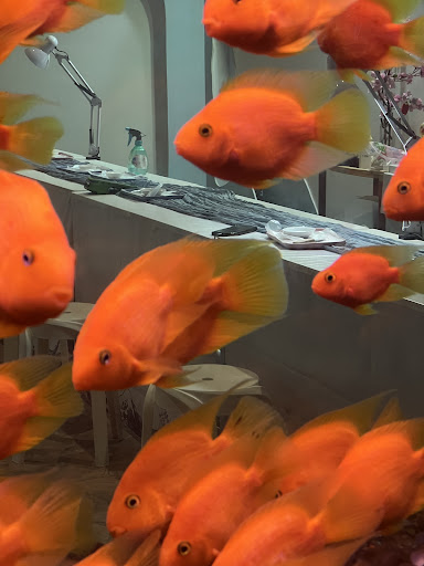 Lotte World Aquarium Hà Nội 사진 16