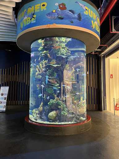 Lotte World Aquarium Hà Nội 사진 18