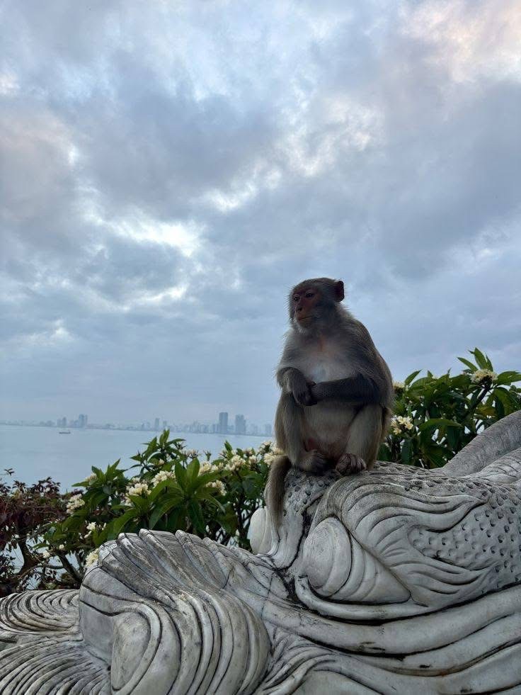 Hoi An 写真 10