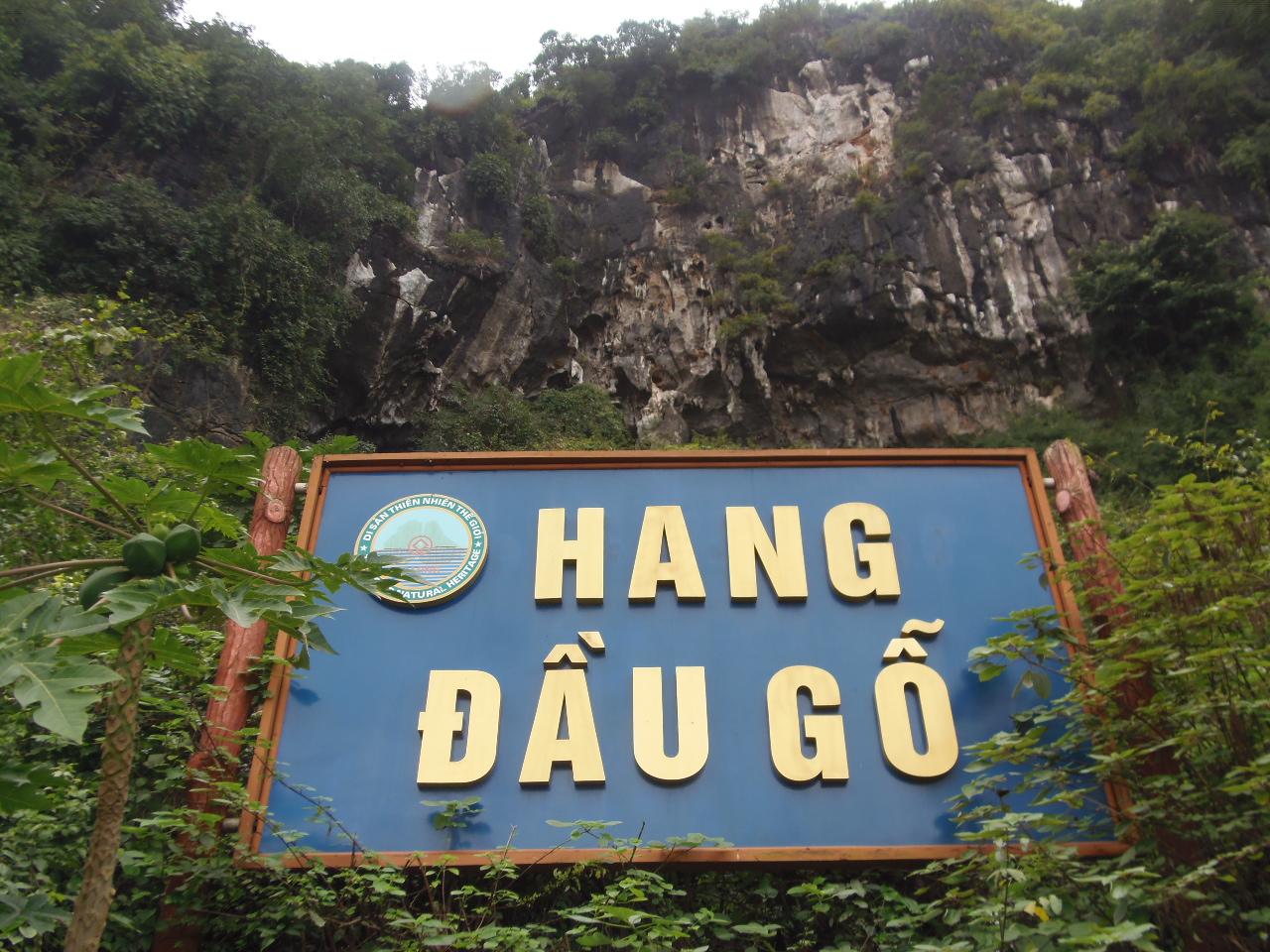 Hạ Long Bay รูปที่ 6
